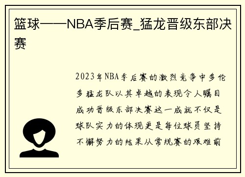 篮球——NBA季后赛_猛龙晋级东部决赛