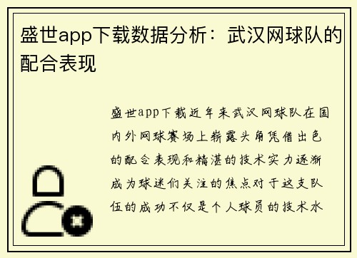 盛世app下载数据分析：武汉网球队的配合表现
